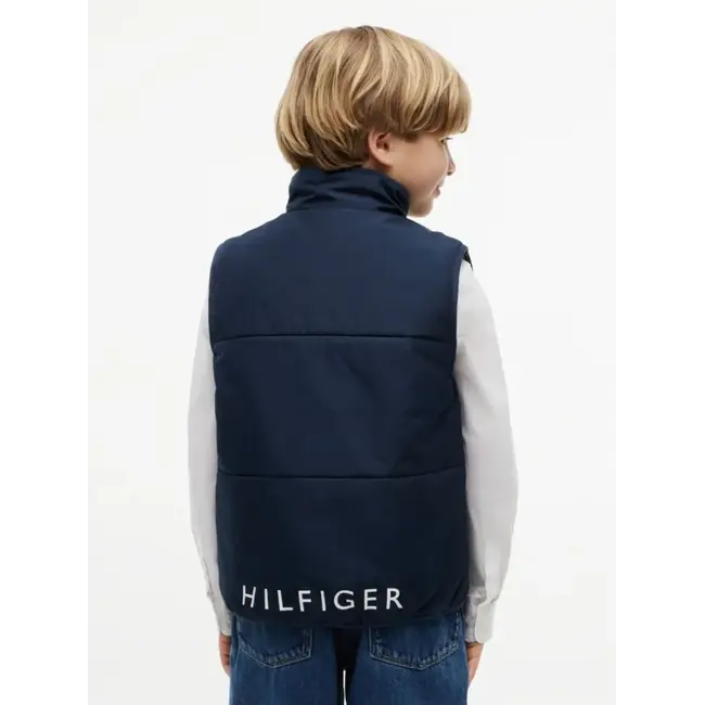 GRAPHIC VEST, C1G/Dark Night Navy