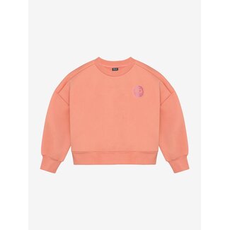 Indian Blue Jeans Sweater Cropped Glitter Pink/5340/Burnt Coral