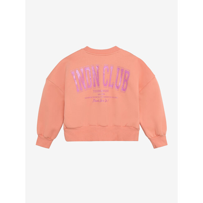 Sweater Cropped Glitter Pink/5340/Burnt Coral