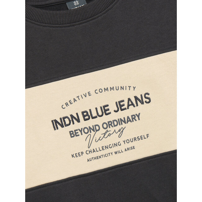 Loose Fit Sweat IB Chest Brush Grey/1961/Antra Ash