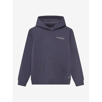 Indian Blue Jeans Hoodie Backprint Brushed /6541/Dusty Dark Purple
