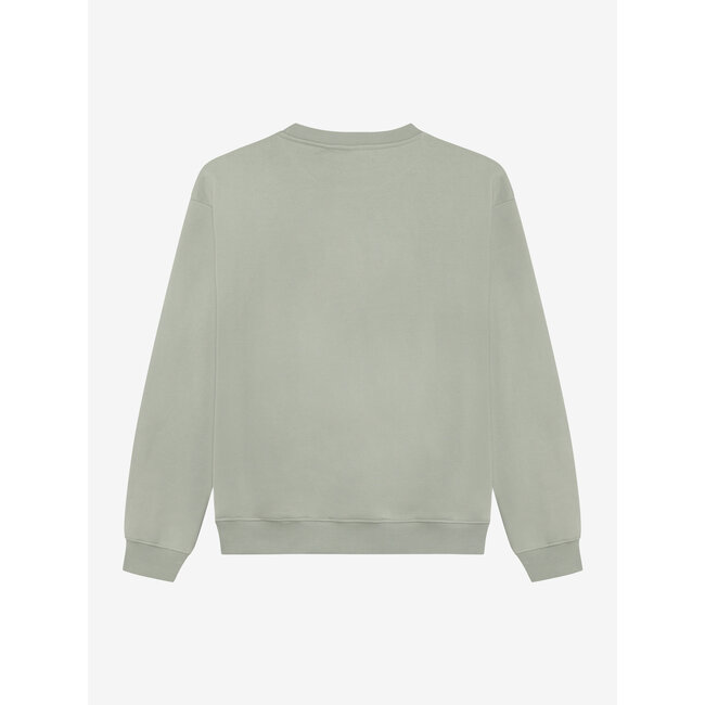 Loose Fit Sweat Basic /9847/Dust Green