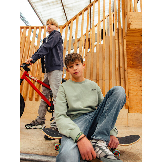 Loose Fit Sweat Basic /9847/Dust Green