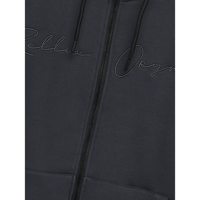 Hooded Zipper Jacket Brush Grey 1895 Mid Antra