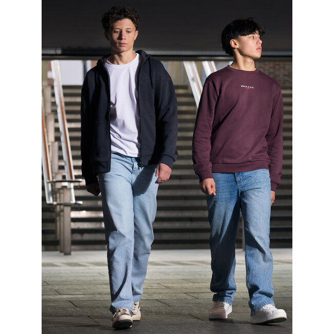 Hooded Zipper Jacket Brush Grey 1895 Mid Antra