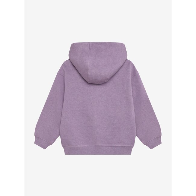 Oversized Hoodie Chest Print  Purple 6986 Purple Melange