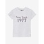 T-shirt Artwork  Grey 1231 Light Grey Melange