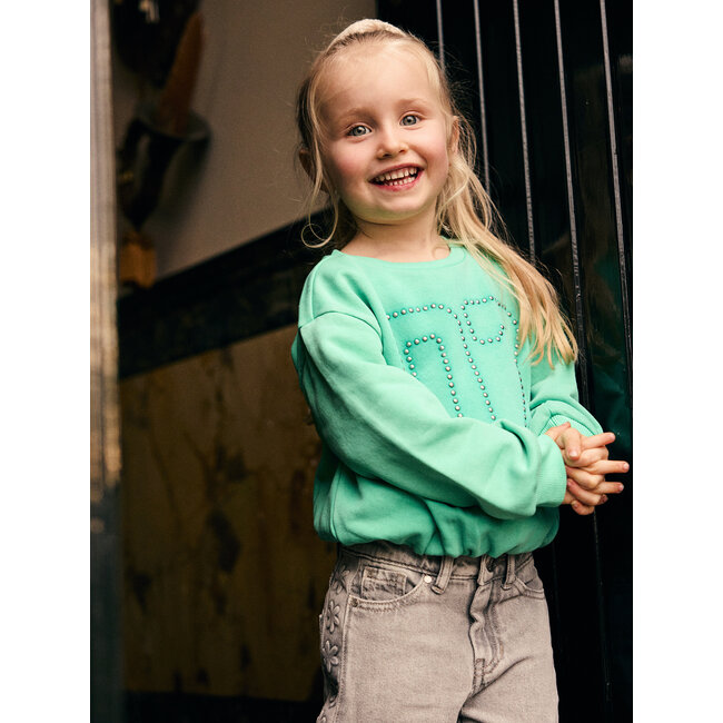 Sweater Cropped  Green 9621 Sea Green