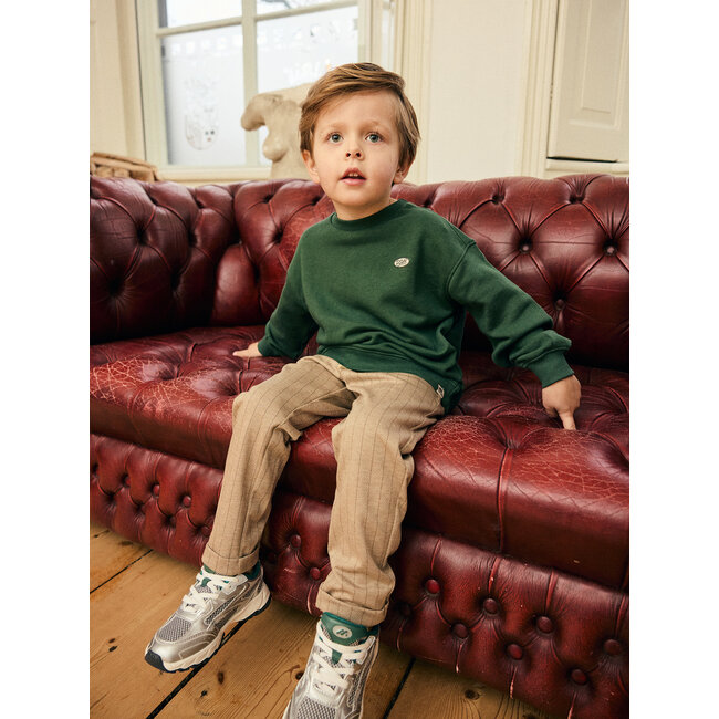 Stripe Pants  Brown 2120 Ginger Root