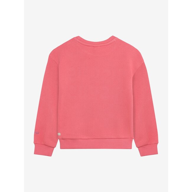 Sweater Bisous  Pink 5521 Desert Rose