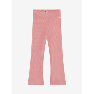 DAILY7 Flared Velvet Pants  Purple 6008 Lilas