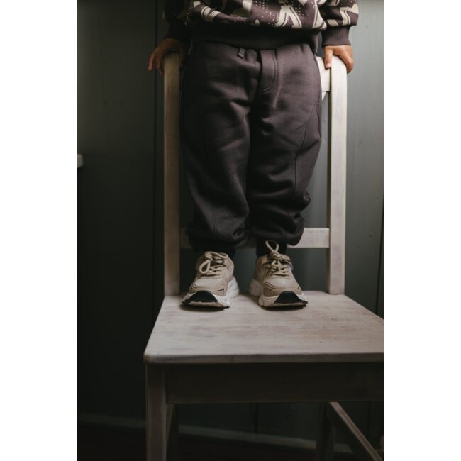 Pants 9022 Purple Grey