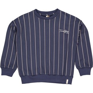 Levv Sweater 7903 AOP Blue Stripe