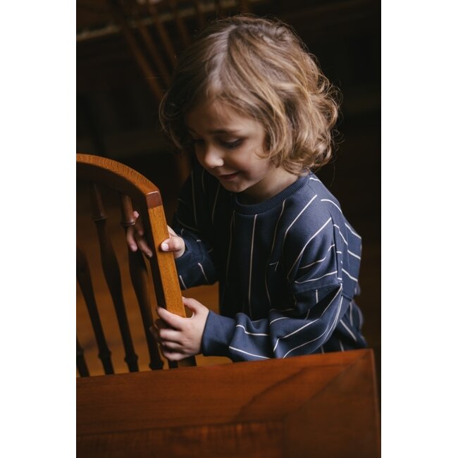 Sweater 7903 AOP Blue Stripe
