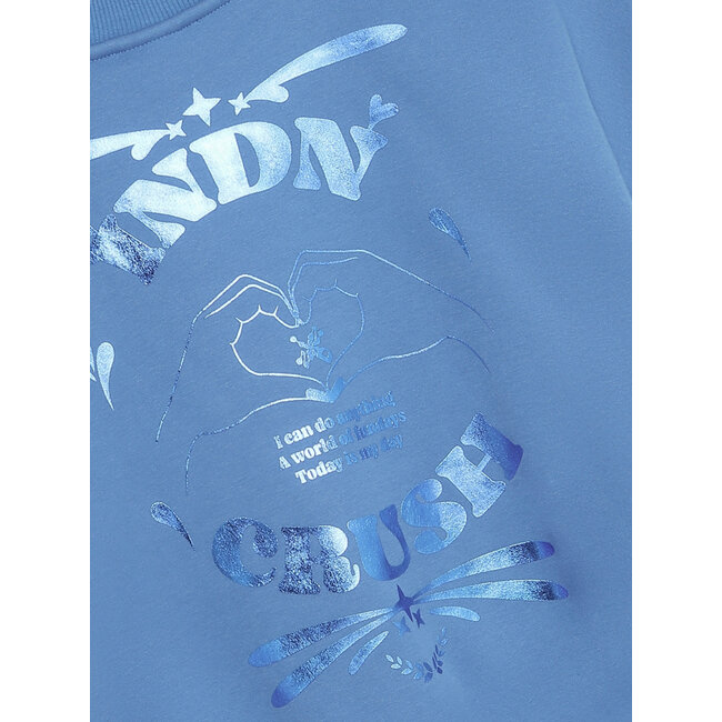 Sweater Foilprint Blue/7556/Campanula