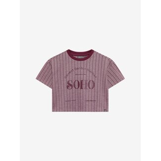 Indian Blue Jeans T-shirt Wide Cropped Red/4718/Fig