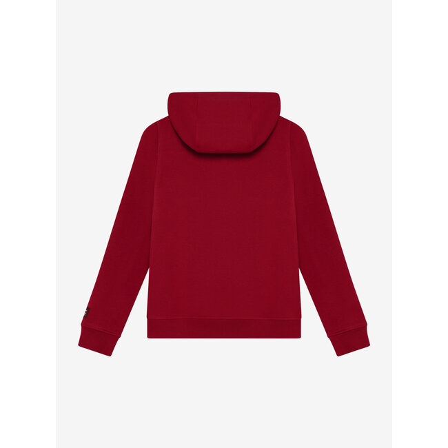 Hoodie Cut and Sew  /4111/Soft Bordeaux