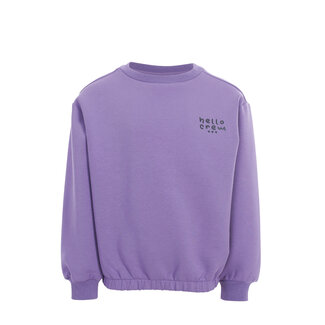 Looxs Little Little scuba Sweater 611 VERBENA PURPLE