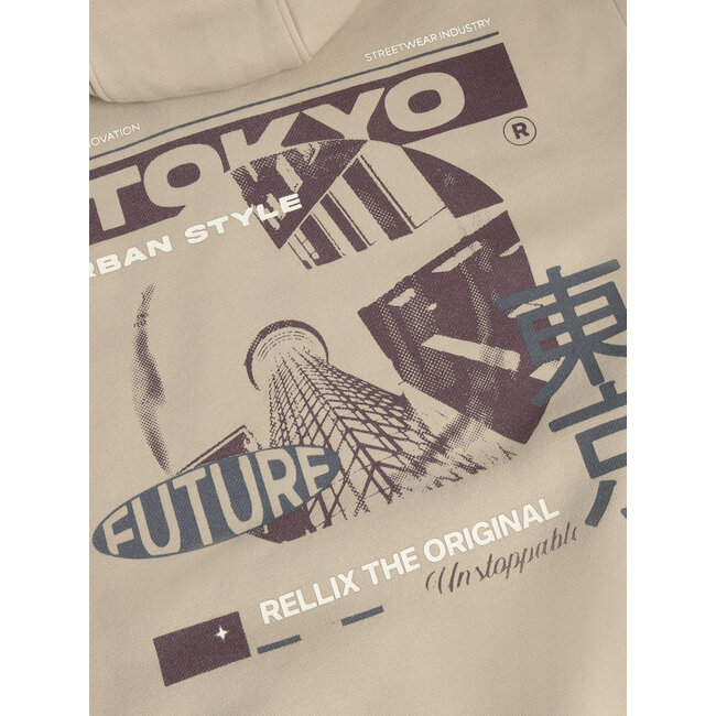 Hoodie Backprint Washed Brush  2118 Sand Sunset