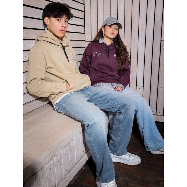 Hoodie Backprint Washed Brush  2118 Sand Sunset