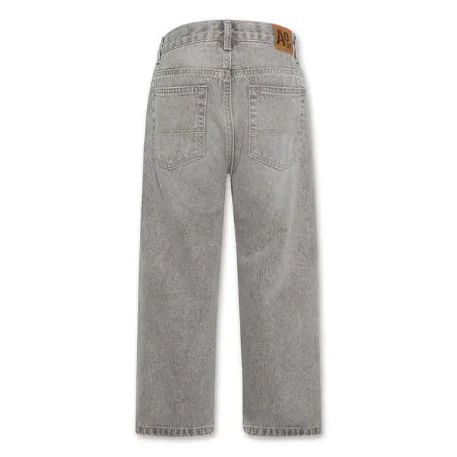 finn pants blake /001060 - wash light grey
