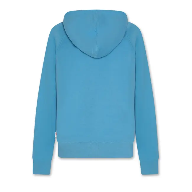 lenny hoodie snowboard /000710 - sky blue
