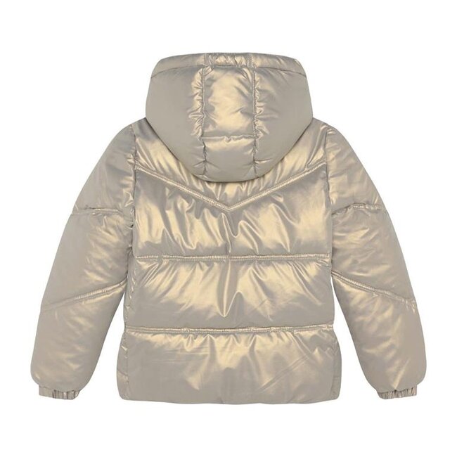 Metallic Jacket  Brown 2321 Champagne Beige