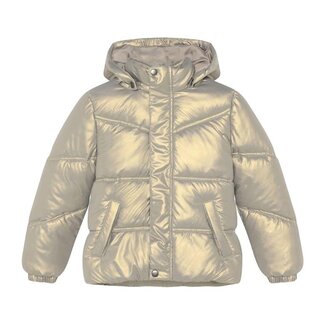 DAILY7 Metallic Jacket  Brown 2321 Champagne Beige