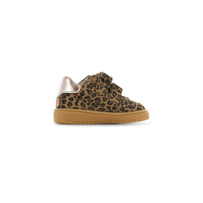 BN26W001-B Leopard