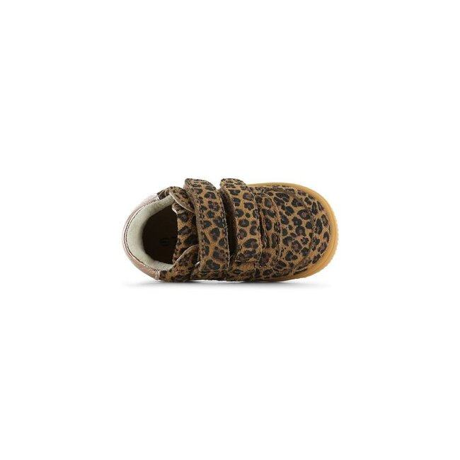 BN26W001-B Leopard