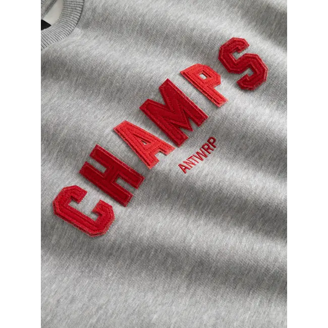 Sweater  000204 - GREY CHINÉ
