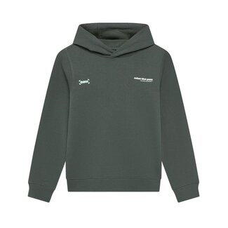Indian Blue Jeans Hoodie Indian Brushed /9887/Dust Army
