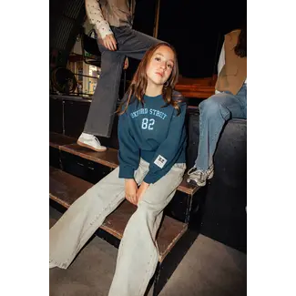 Indian Blue Jeans Sweater Fancy Dark Navy/7631/Insignia Blue