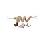 Activiteiten spiraal Woolly