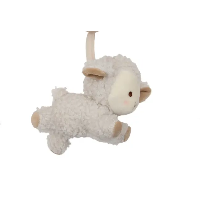 Activiteiten spiraal Woolly