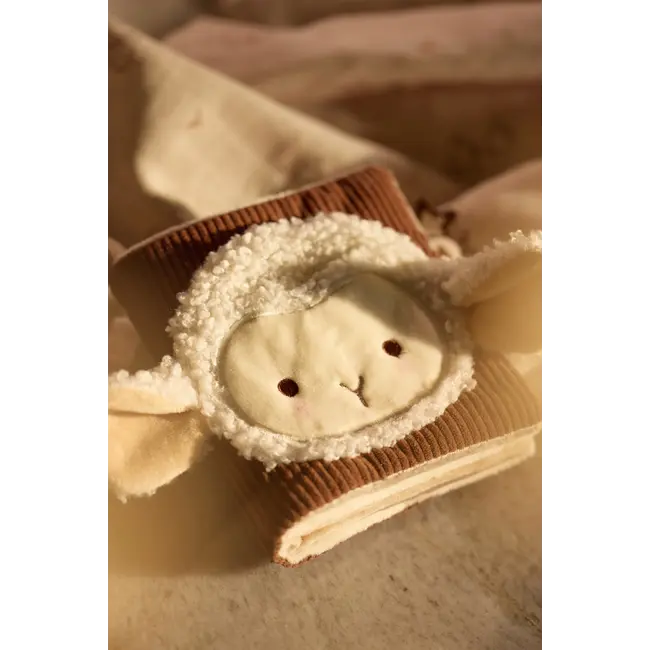 Activiteitenboekje  Woolly