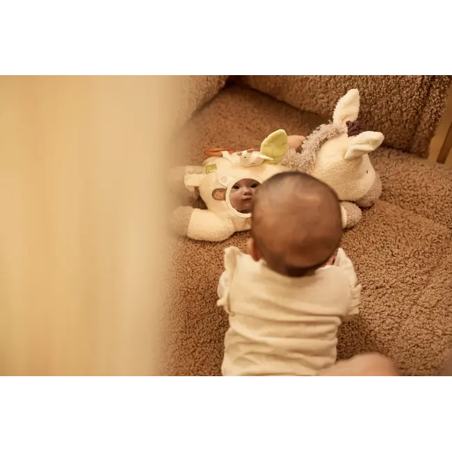 Activiteiten Knuffel Donkey Dinky