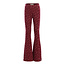 Little jacquard flare pants 529 Festive Flower