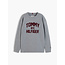 BRAND LOVE LS, P7D Medium Grey Heather