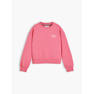 Tommy Hilfiger TOMMY SCRIPT PRINTED, THJ Exotic Pink
