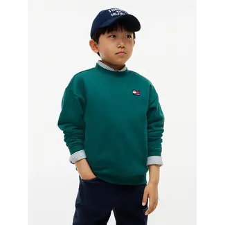 Tommy Hilfiger FLAG HERITAGE CREWNE, L6N Rural Green