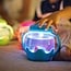 Sensory Play Cub  Mini Jar Blue