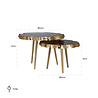 Salontafel Phoeby set van 2 (Brushed Gold) Salontafel Phoeby set van 2 (Brushed Gold)