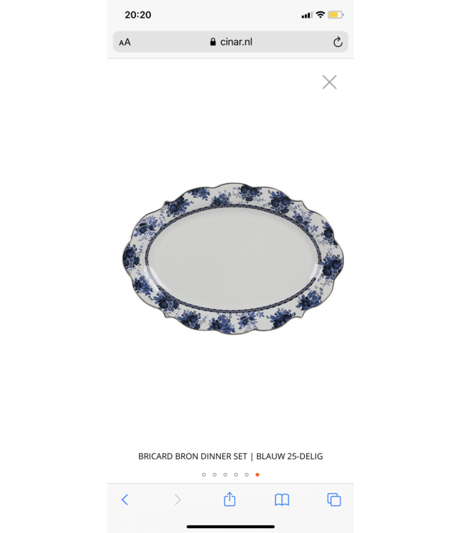 Bricard Servies set 25 delig