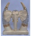 Éléphant