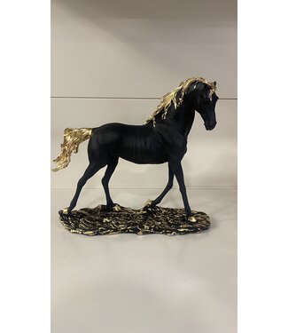 Paard