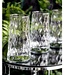 Pasabahce Leafy - Longdrinkglazen - Set van 4 - 345 ml