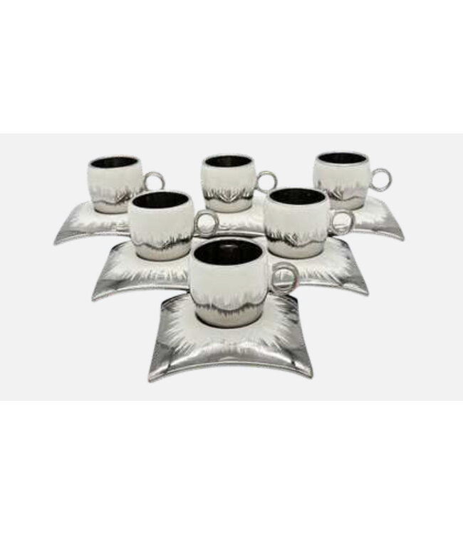 12-delige koffiekopjes set
