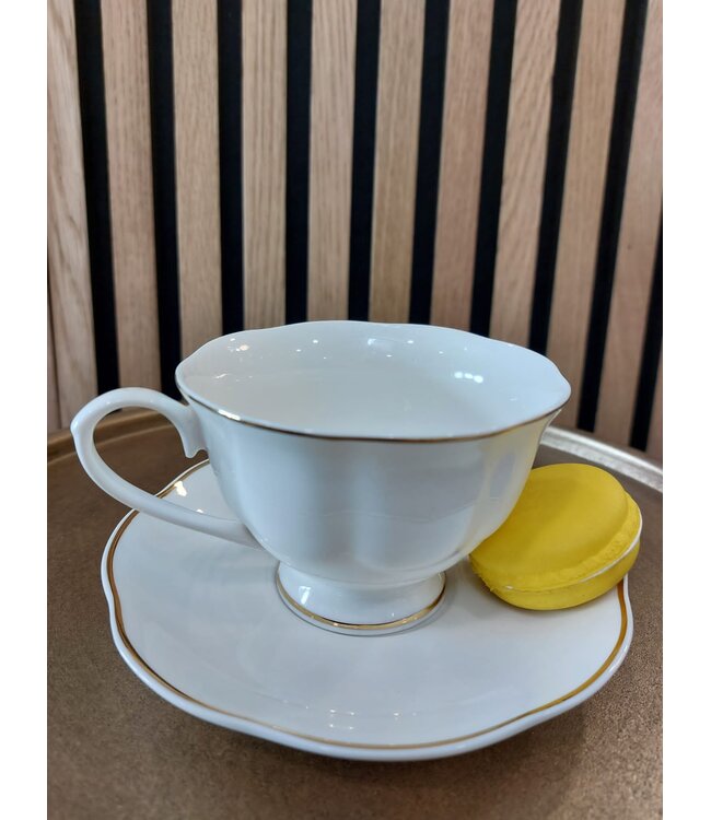 12-delige koffiekopjes