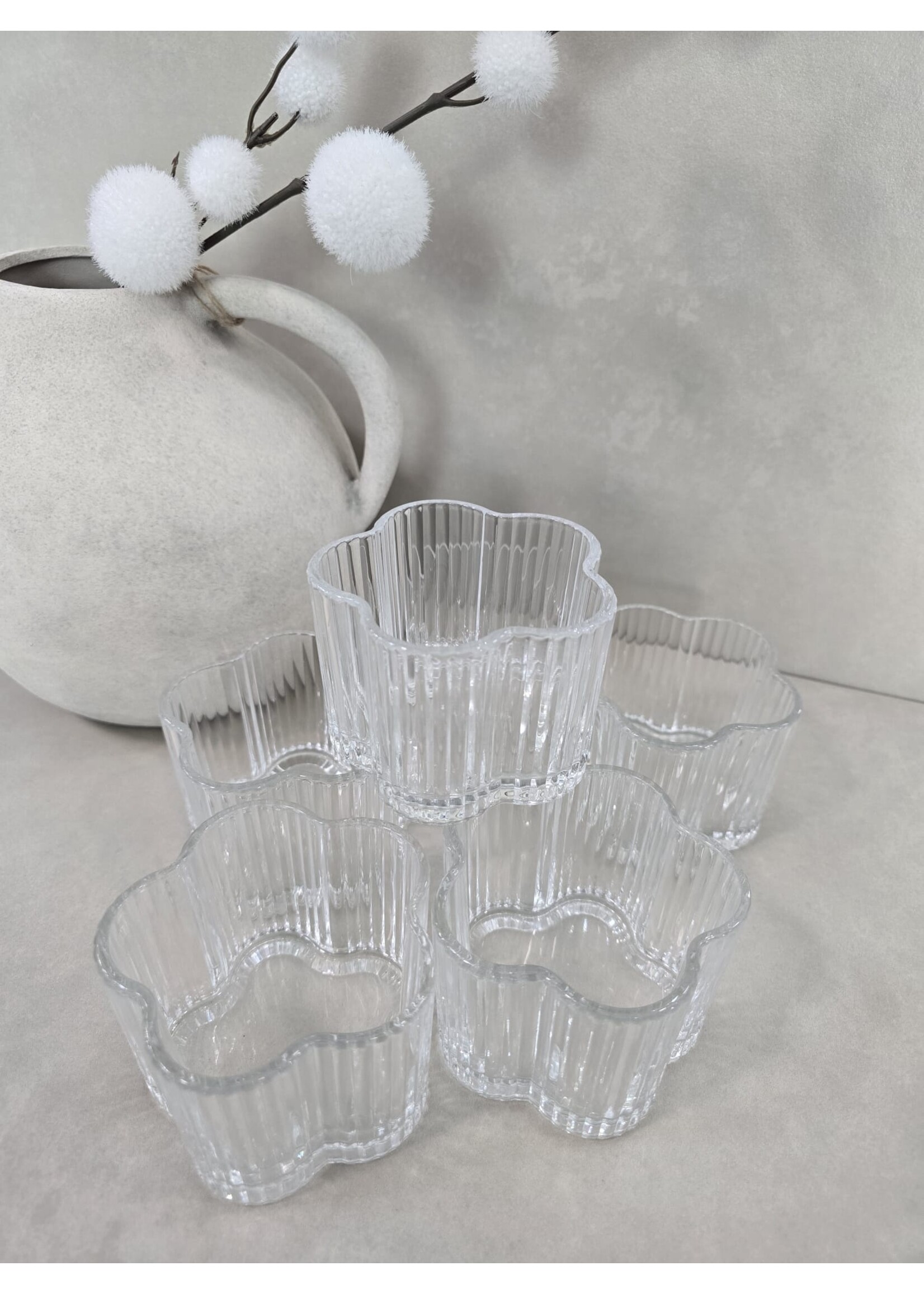 Bavary 6-delige schaaltjes